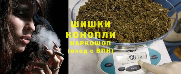 шишки Аркадак