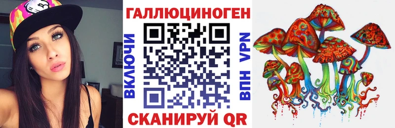 где можно купить наркотик  Петрозаводск  Псилоцибиновые грибы Cubensis 